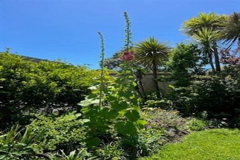 Photo of property in 367 Riddell Road, Glendowie, Auckland, 1071