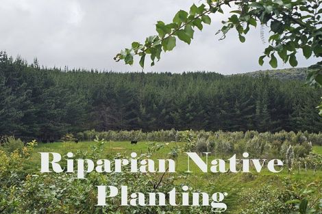 Photo of property in 1296 Wekaweka Road, Waimamaku, Kaikohe, 0473