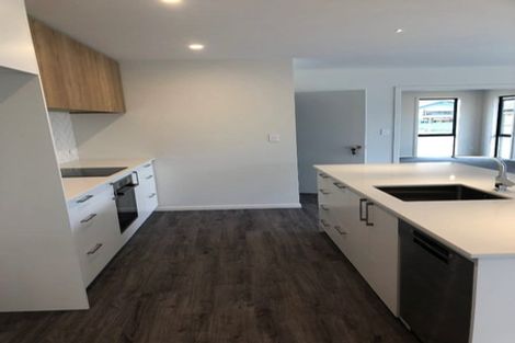Photo of property in 25 Westbrook Avenue, Rolleston, 7615