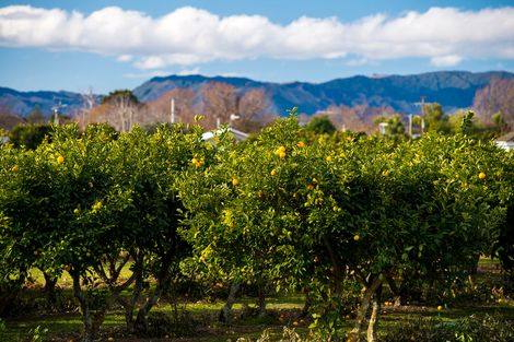 Photo of property in 55c Whakato Road, Manutuke, 4072