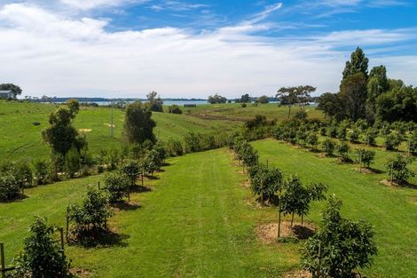 Photo of property in 196 Pahoia Road, Whakamarama, Tauranga, 3172