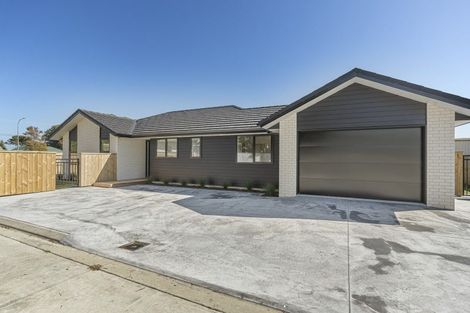 Photo of property in 45a Princess Street, Waitara, 4320