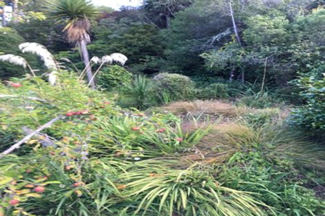Photo of property in 170 Doctors Point Road, Waitati, 9085