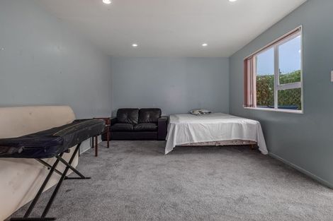 Photo of property in 43 Tiro Tiro Road, Levin, 5510