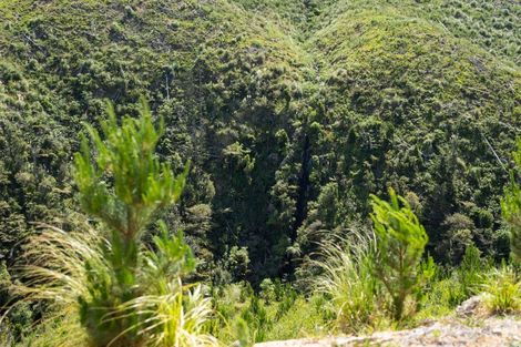 Photo of property in 316b Waitao Road, Waitao, Tauranga, 3175