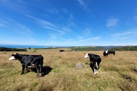 Photo of property in 205 Otokia-kuri Bush Road East, Kuri Bush, Dunedin, 9091