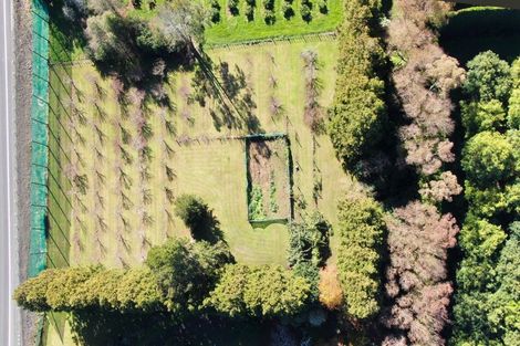 Photo of property in 664 State Highway 2, Tahawai, Katikati, 3170