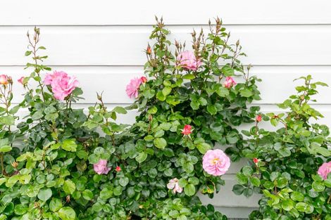 Photo of property in 51 Scarborough Terrace, Mount Victoria, Wellington, 6011