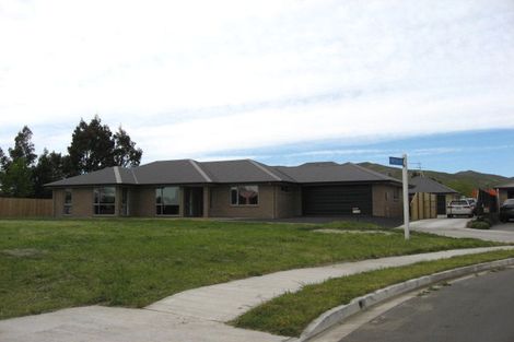 Photo of property in 28 Nikau Drive, Redwoodtown, Blenheim, 7201