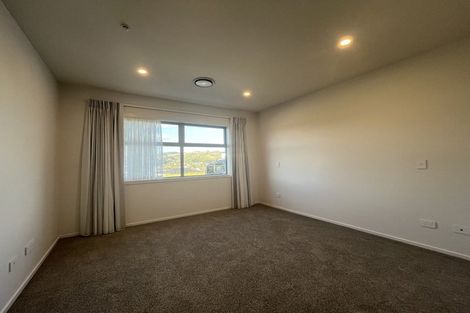 Photo of property in 197 John Burke Drive, Aotea, Porirua, 5024