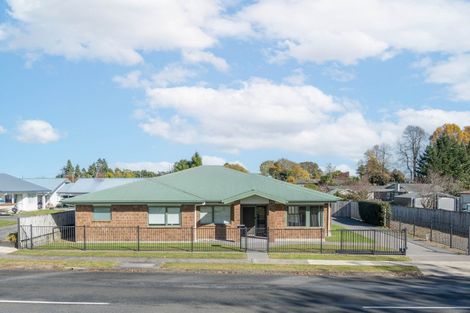 Photo of property in 22 Overdale Street, Putaruru, 3411