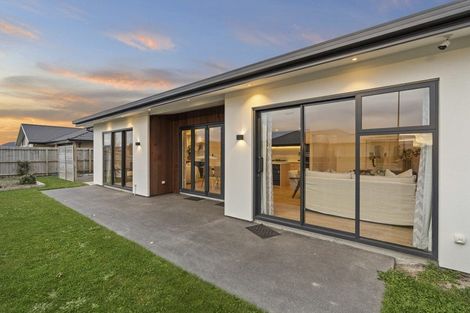 Photo of property in 16 Lotus Place, Wigram, Christchurch, 8025