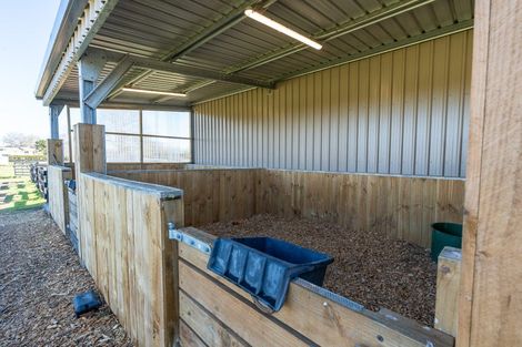 Photo of property in 107 Pencarrow Road, Tamahere, Hamilton, 3283