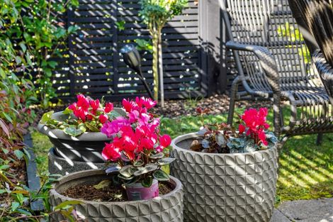 Photo of property in 26b Yanicks Crescent, Fitzroy, Hamilton, 3206