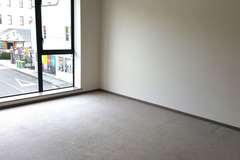 Photo of property in Dual Apartments, 210/142 Vivian Street, Te Aro, Wellington, 6011