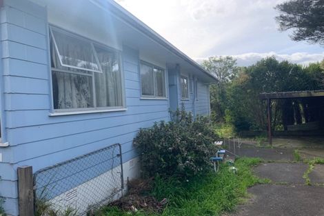 Photo of property in 63 Harrington Road, Henderson, Auckland, 0610