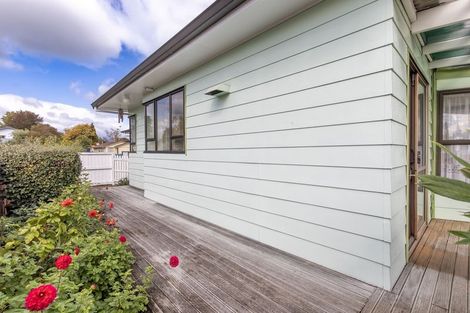 Photo of property in 131 Te Rangitautahanga Road, Turangi, 3334