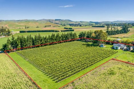 Photo of property in 1114 Omihi Road, Omihi, Amberley, 7483