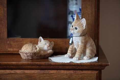 Photo of property in 7b Fairview Road, Katikati, 3129