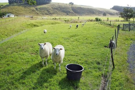 Photo of property in 150 Owaka Valley Road, Owaka, 9586