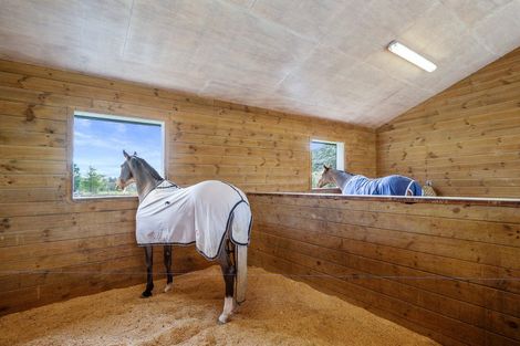 Photo of property in 96 Mahoenui Valley Road, Coatesville, Albany, 0793