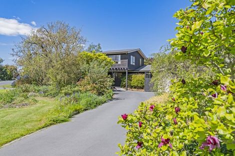 Photo of property in 29 Pultney Street, Leeston, 7632