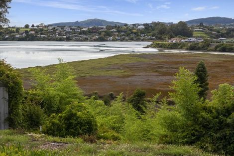 Photo of property in 64b Harrier Street, Parkvale, Tauranga, 3112