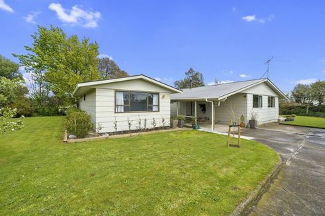 Photo of property in 159 Regent Street, Martinborough, 5711