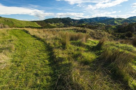Photo of property in 276 Gaddums Hill Road, Outer Kaiti, Gisborne, 4010