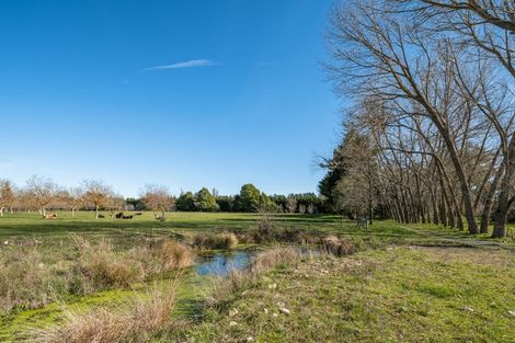 Photo of property in 195 Tyntesfield Road, Waihopai Valley, Blenheim, 7276