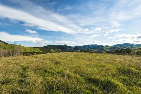 Photo of property in 276 Gaddums Hill Road, Outer Kaiti, Gisborne, 4010