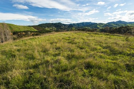 Photo of property in 276 Gaddums Hill Road, Outer Kaiti, Gisborne, 4010