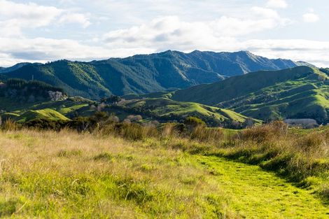 Photo of property in 276 Gaddums Hill Road, Outer Kaiti, Gisborne, 4010