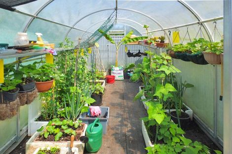 Photo of property in 7 Brown Street, Foxton, 4814