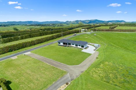 Photo of property in 44 Paerata Ridge Road, Waiotahe, Opotiki, 3198