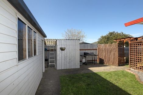 Photo of property in 906a Lyell Street, Akina, Hastings, 4122