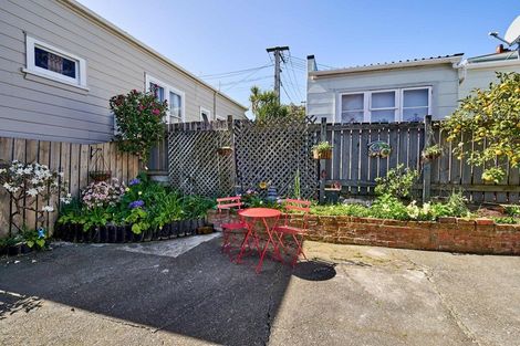 Photo of property in 17 Horner Street, Newtown, Wellington, 6021