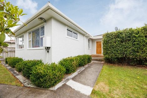 Photo of property in 7 Salisbury Avenue, Terrace End, Palmerston North, 4410