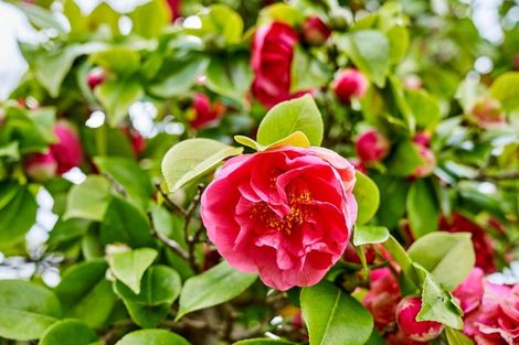 Photo of property in 185 Taita Drive, Avalon, Lower Hutt, 5011