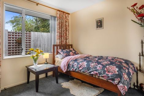 Photo of property in 3/210 Hastings Street East, Waltham, Christchurch, 8023