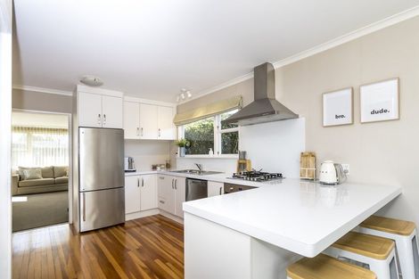 Photo of property in 151 Limbrick Street, Terrace End, Palmerston North, 4410