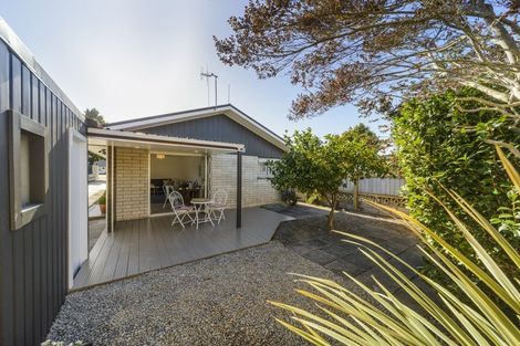 Photo of property in 176b Ruahine Street, Roslyn, Palmerston North, 4414