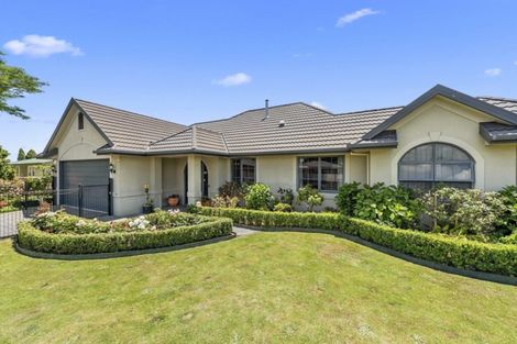 Photo of property in 51 Insoll Avenue, Enderley, Hamilton, 3214