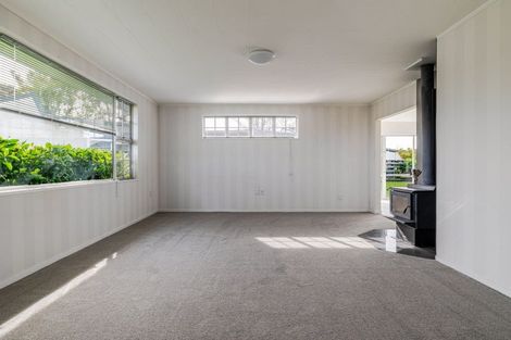 Photo of property in 17 Anaru Place, Awapuni, Palmerston North, 4412
