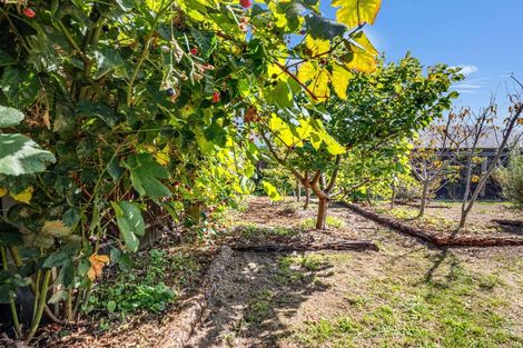 Photo of property in 5 Barbary Close, Wharewaka, Taupo, 3330