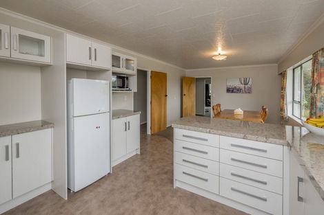 Photo of property in 292 Heatherlea Road East, Levin, 5571