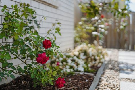 Photo of property in 15 Bellenden Crescent, Pokeno, 2402