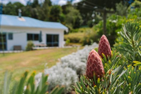 Photo of property in 259 Wainui Road South, Whakamarama, Katikati, 3181