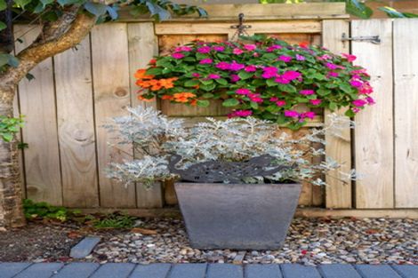 Photo of property in 21a Bryce Street, Cambridge, 3434