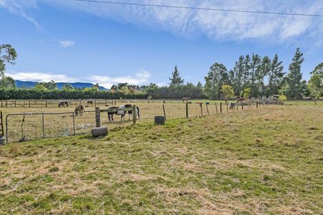 Photo of property in 67 Weld Street, Oxford, 7430